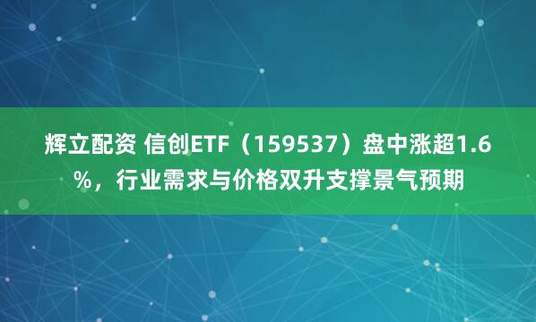 辉立配资 信创ETF（159537）盘中涨超1.6%，行业需求与价格双升支撑景气预期